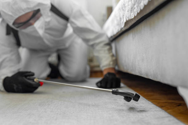 Professional Termite Control technician working in Oak Park, IL