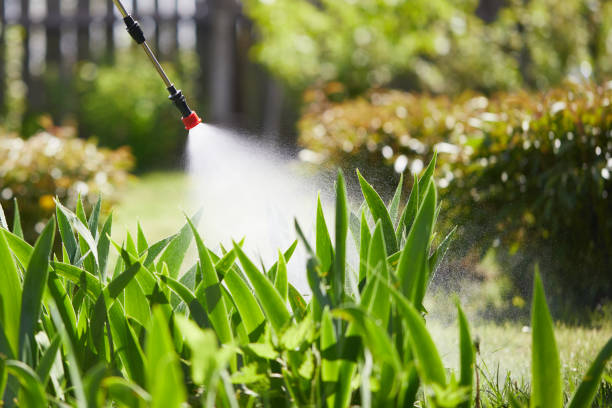 24/7 Emergency Termite Control experts in Oak Park, IL